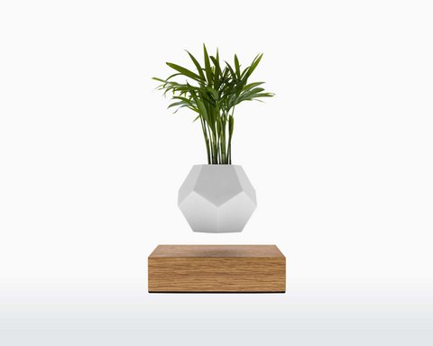 LYFE Levitating Planter