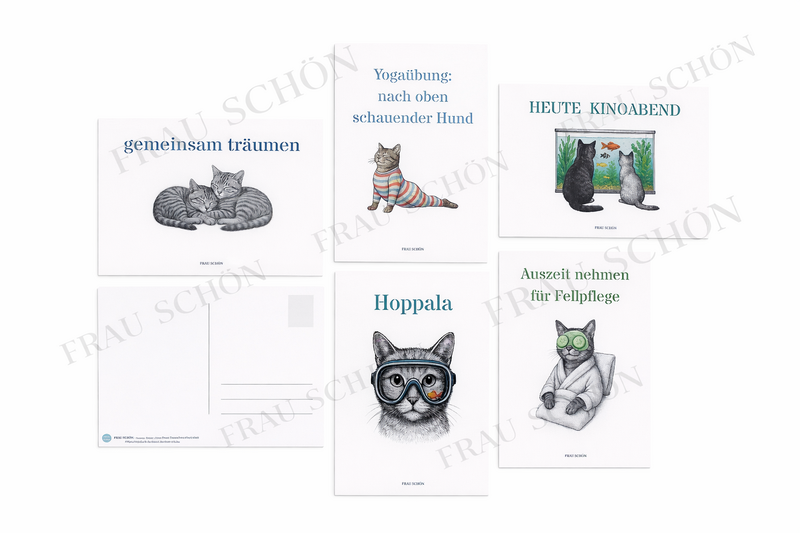 Un fantastico pacchetto di 5 bellissime e divertenti cartoline con diversi motivi di gatti