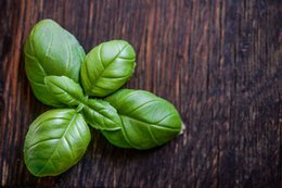 Pesto Basilicum | 80g