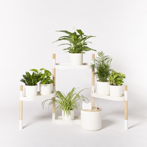 Self-watering 4-tray plant shelves