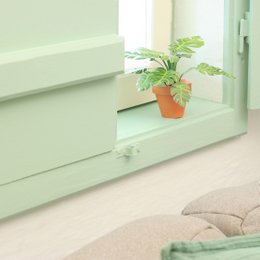 Monstera délicieux mini kit d’artisanat de jardin