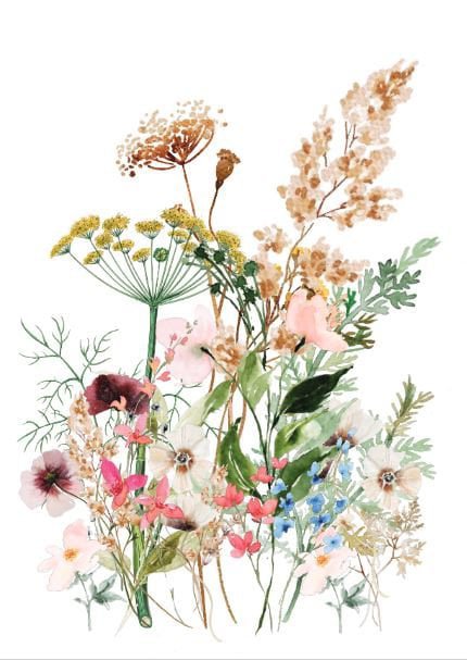 Bæredygtige postkort vilde blomster