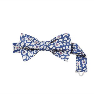 Maanopgang Papillon