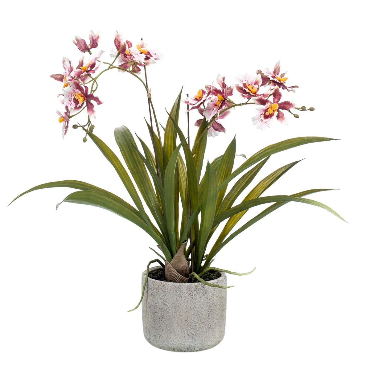 Planta artificial - Orquídea - Burdeos - 45cm