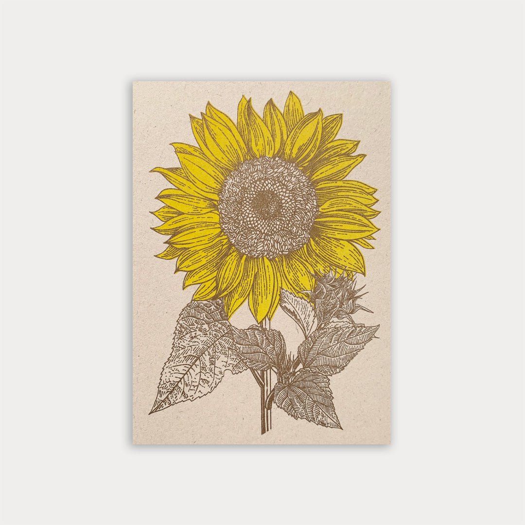 Postcard / sunflower / eco paper