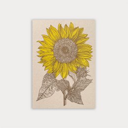Cartolina/girasole/carta ecologica