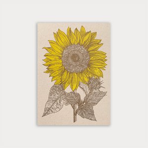 Postkarte / Sonnenblume / Ökopapier