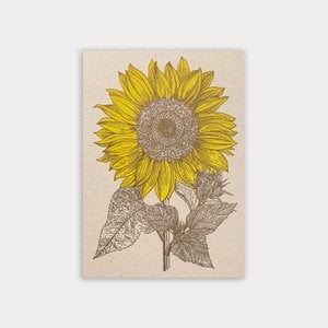 Postkarte / Sonnenblume / Ökopapier