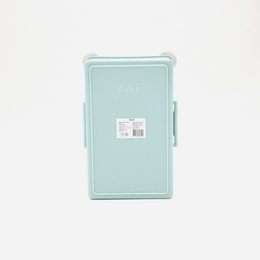 Airtight & BPA-free Lunchbox snack box - Cat Mint