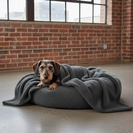 Hundekissen Donut Kuschelnest LOOP Paddy graphit