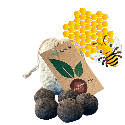5 Samenbomben in einer Tüte: Bienenmischung