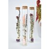 Dried flower tubes - 20 cm