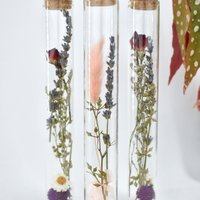 Trockenblumenröhrchen - 20 cm