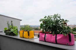 Il blocco verde M
