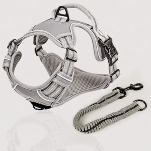 ne&no® Hundegeschirr mit passenden Ruckdämpfer [ONTWIKKELD door NE&NO]