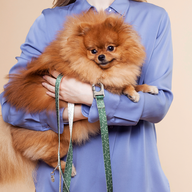 Sabine Dog Leash