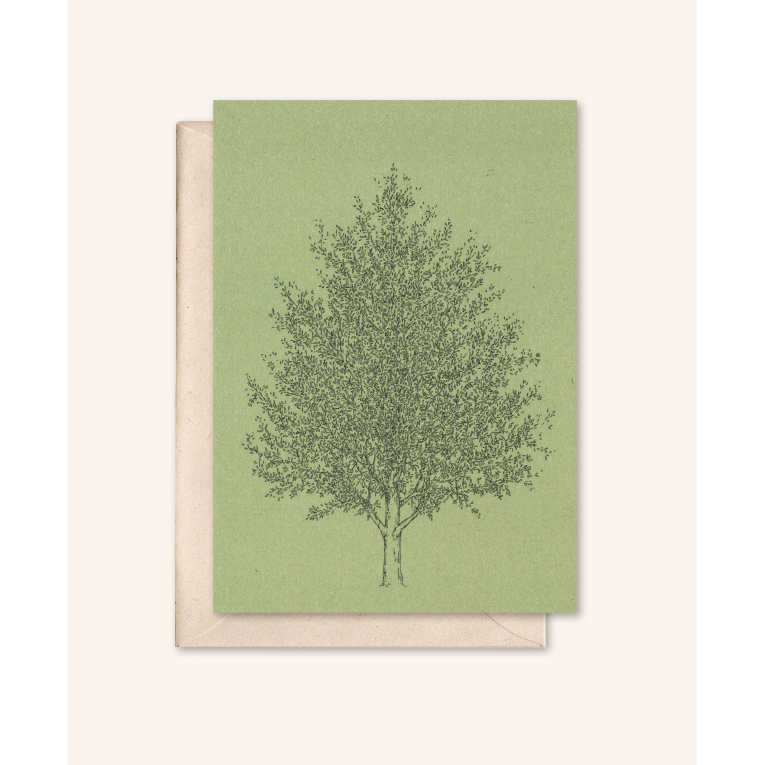 Carta sostenibile + busta | Albero d'ambra | rosmarino