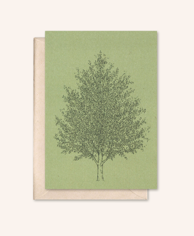 Carta sostenibile + busta | Albero d'ambra | rosmarino