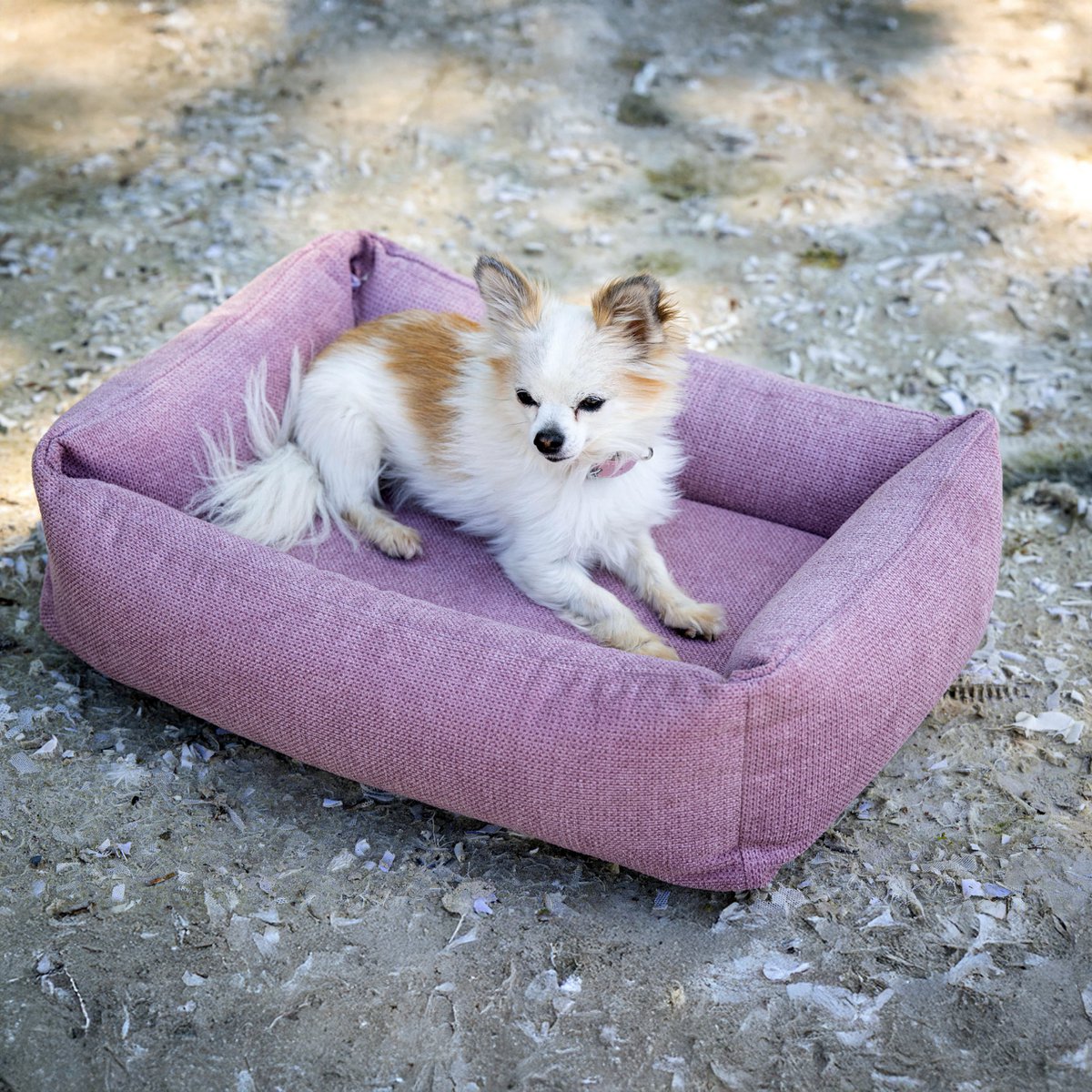 TUDOR ORTHO | Premium Orthopedic Dog Bed
