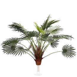 Farn Palme Pako getopft, H182cm, grøn