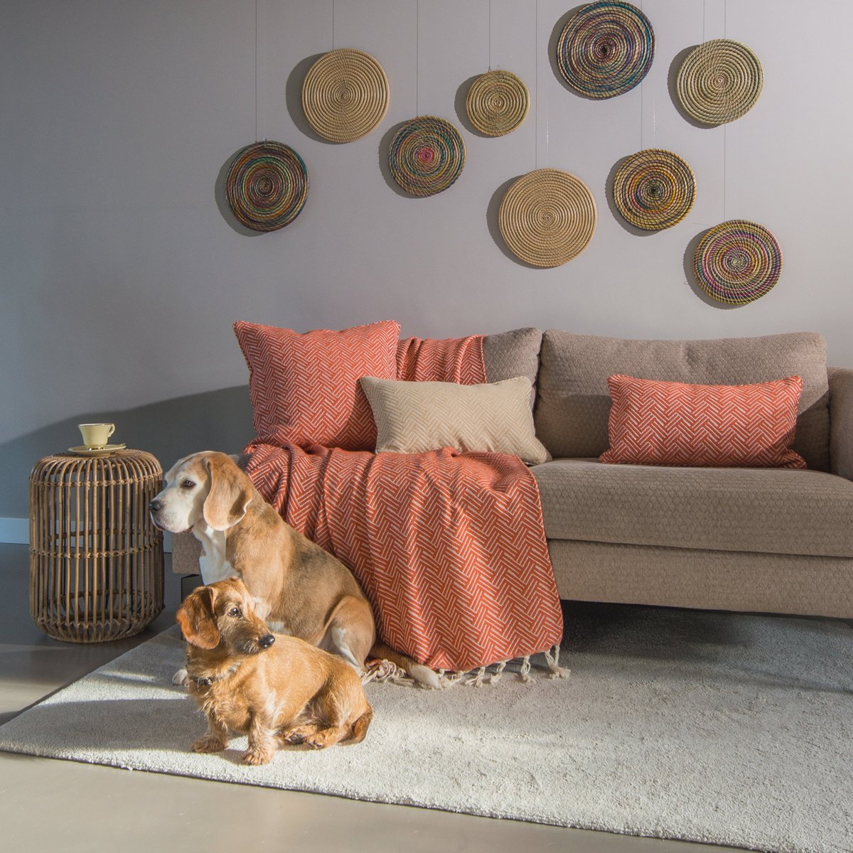 Decorative Disks - Natural fibers