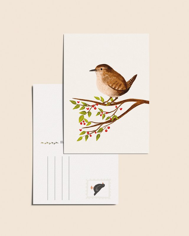“Wren” – A6 Illustrated Postcard | 350gsm Tintoretto Gesso