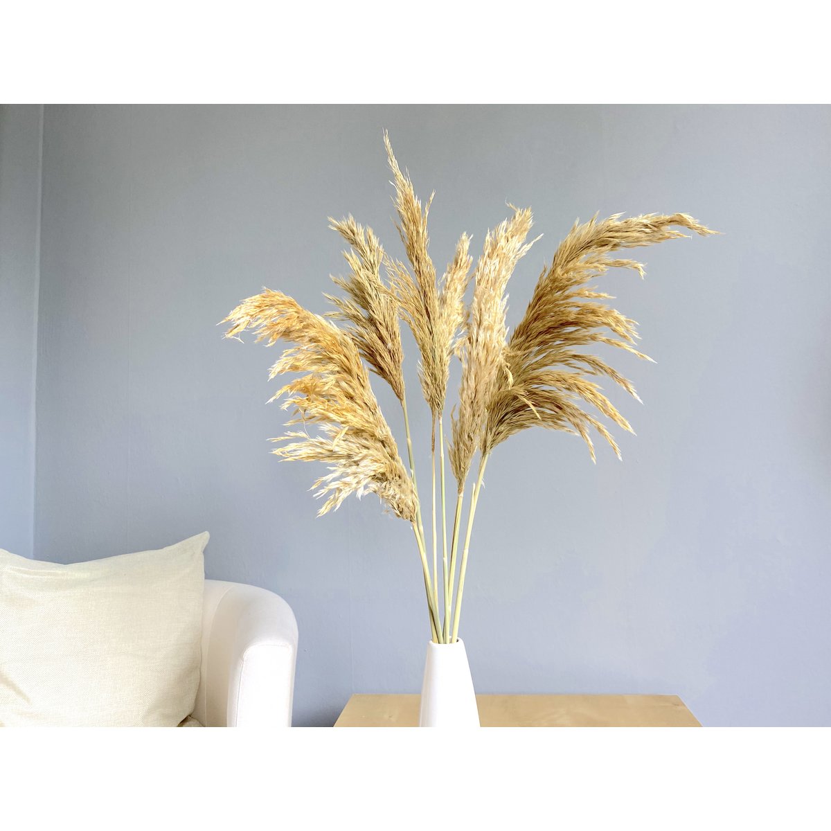 Pampas grass, 6 pieces / bunch, 70cm, beige