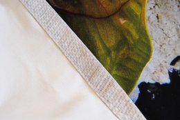 Forbidden Foods - luxe katoenen tafelkleed