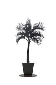 Palme im Topf