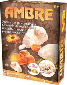 PALEO KIT: AMBER