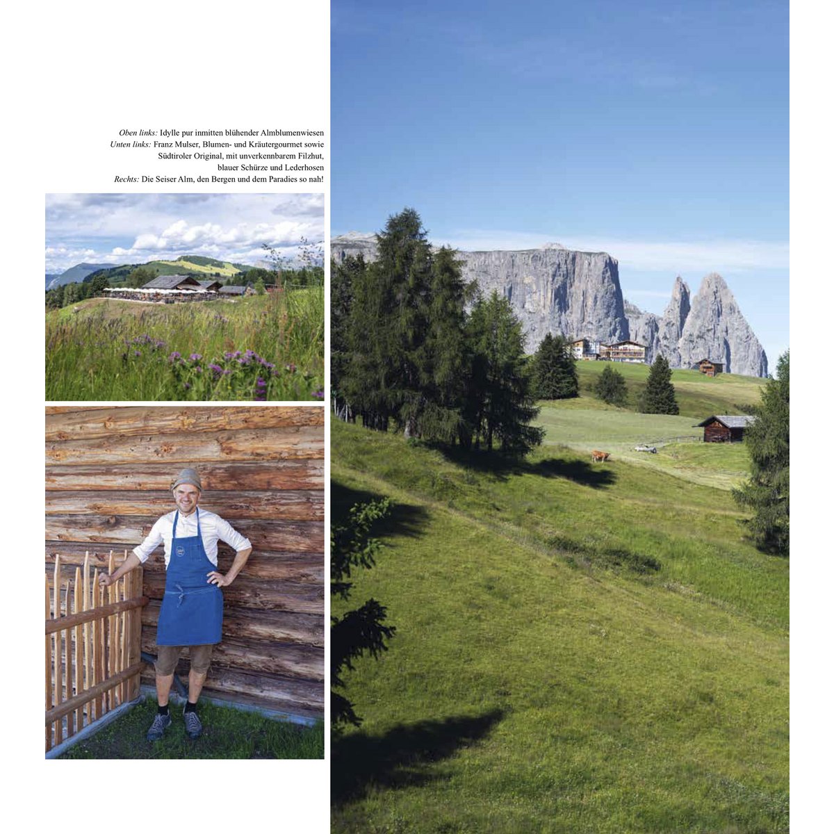 Visitar Tirol del Sur