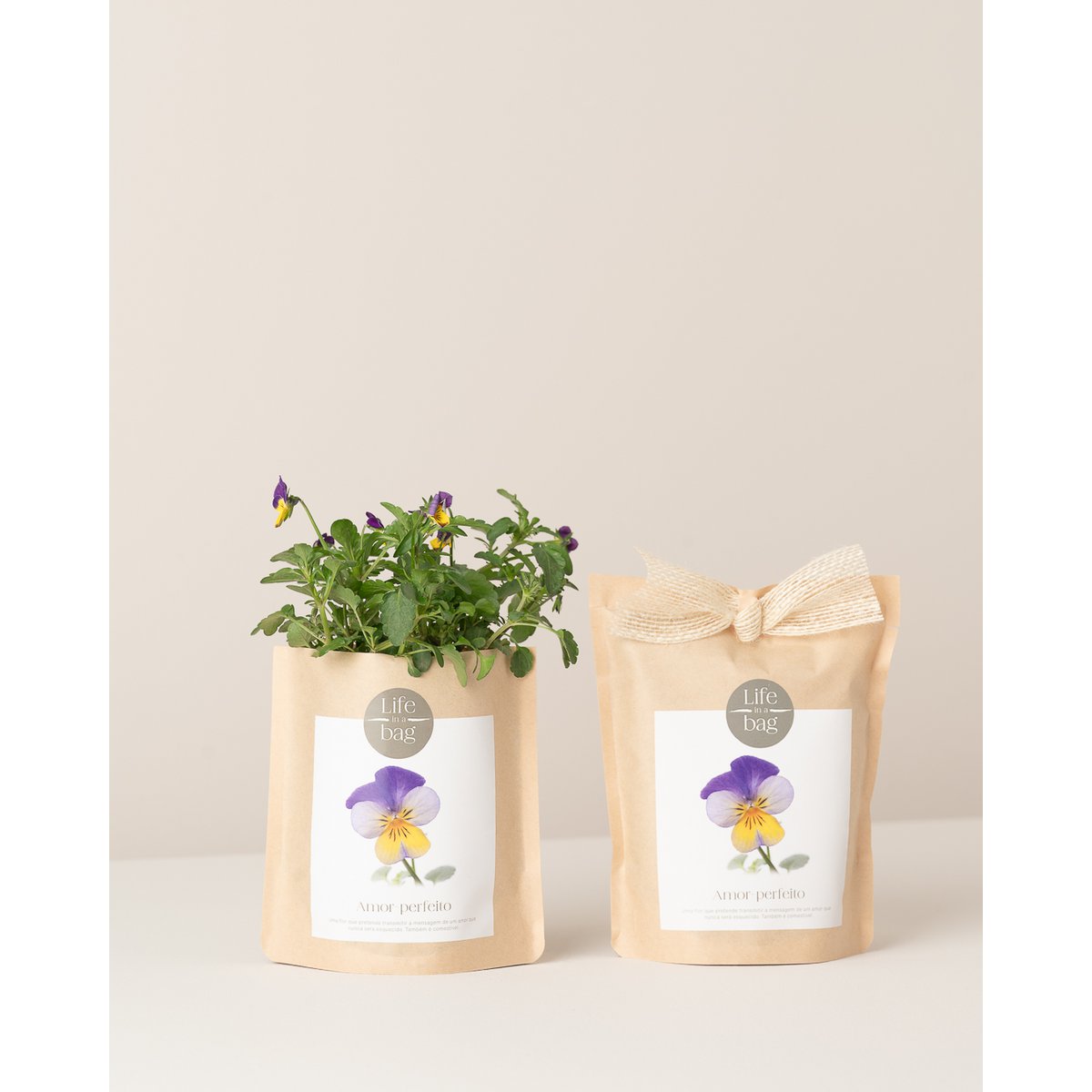 Grow Bag Wild Pansy