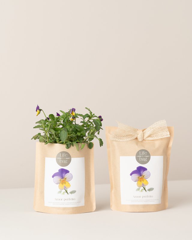 Grow Bag Wild Pansy