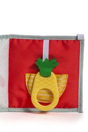 3 IN 1 BABY BOOK
