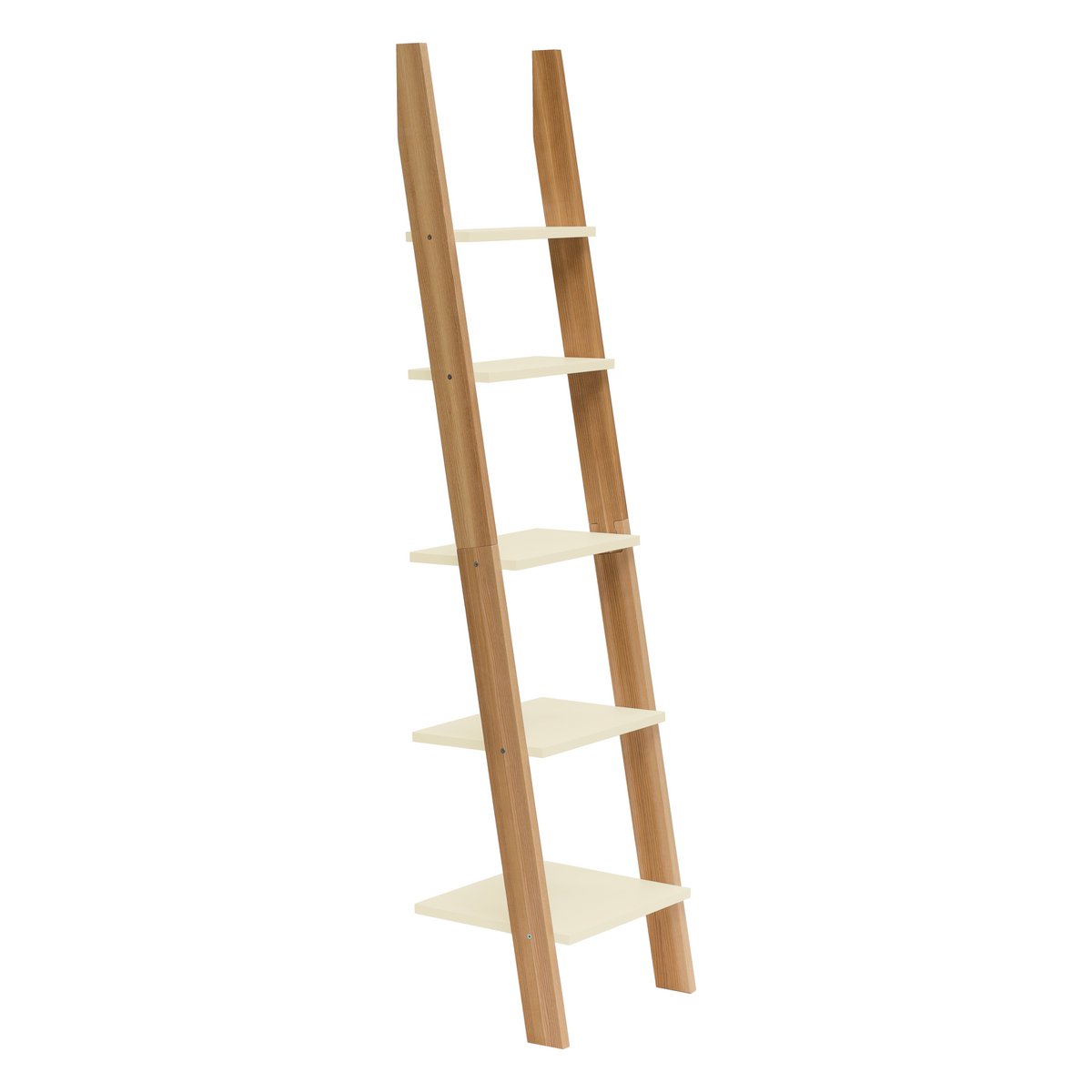 ASHME Laddershelf