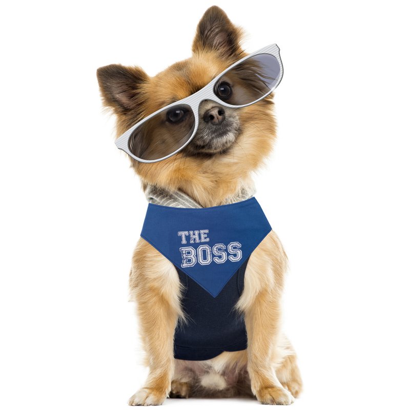 Dwustronna chustka "the boss" indygo/gwiazdki
