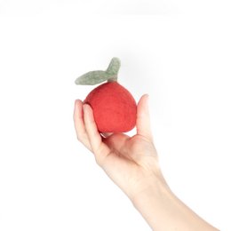 Buddy. Dog toys from Wollfilz "Apfel"