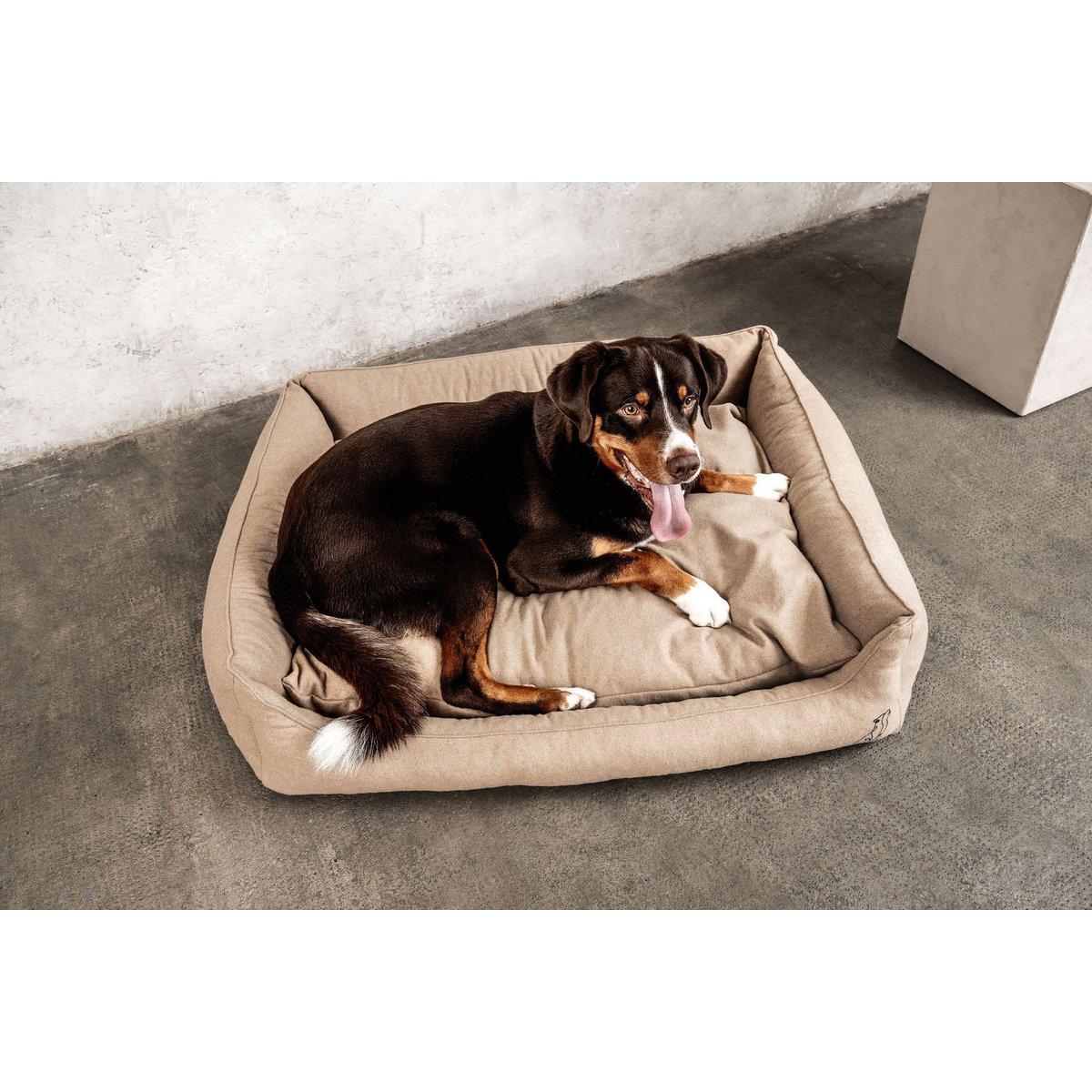 Lit pour chien Belle beige