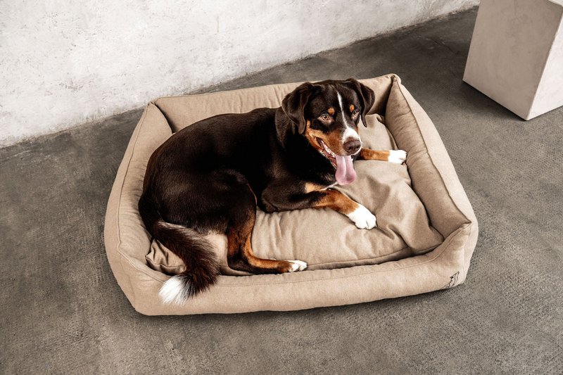 Lit pour chien Belle beige