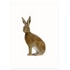 Postkarte | Hase