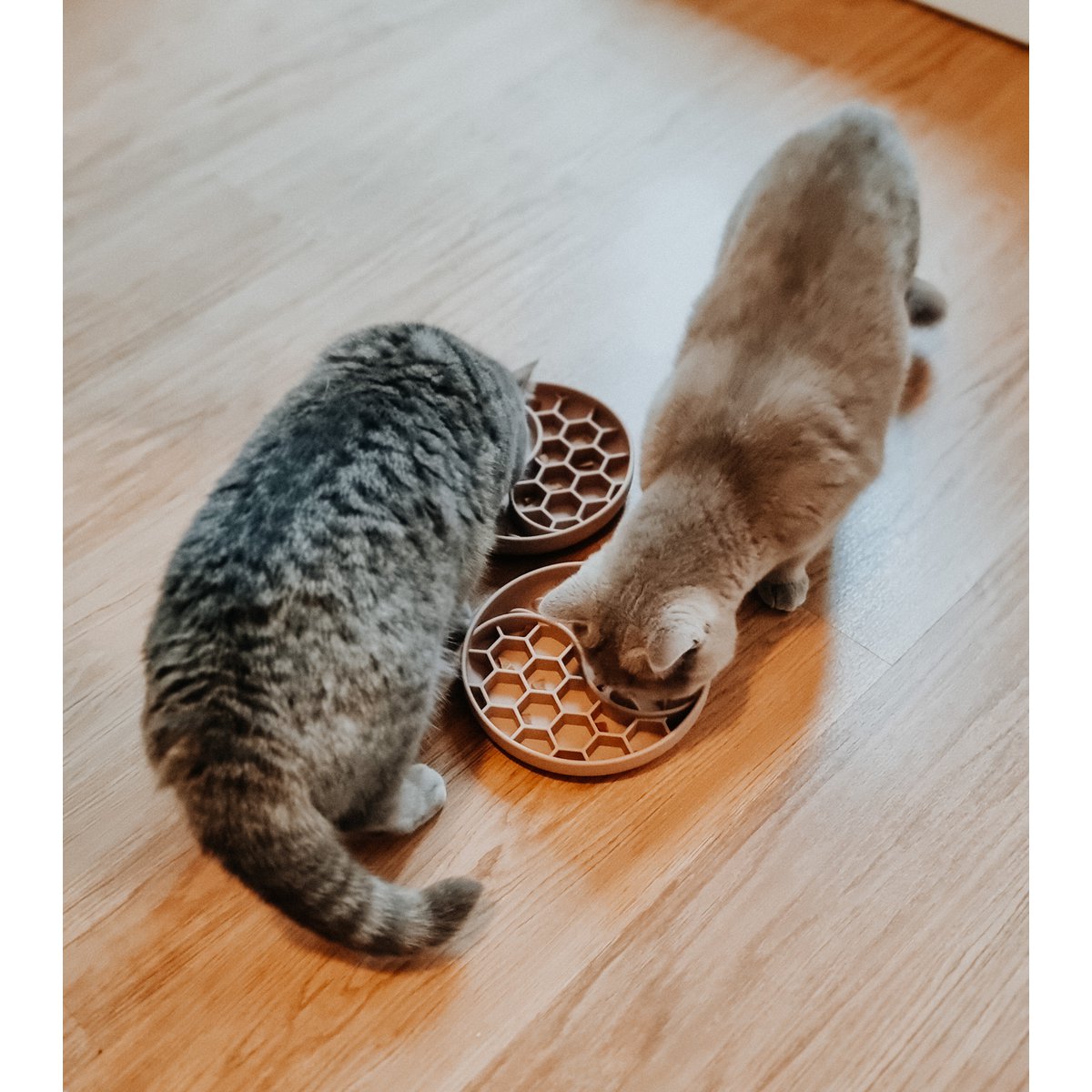 ne&no® anti-slyngeskål til hunde og katte