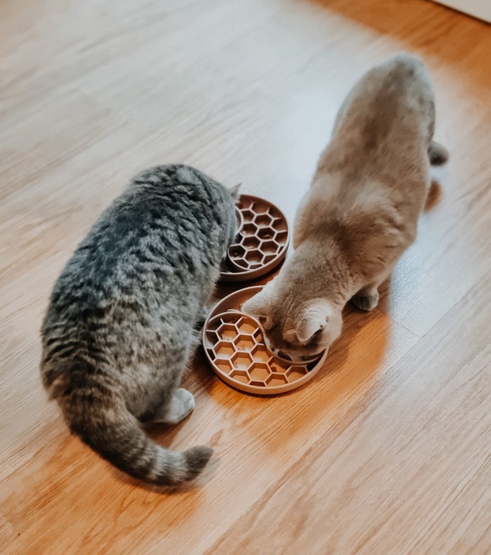ne&no® anti-sling voerbak voor honden en katten
