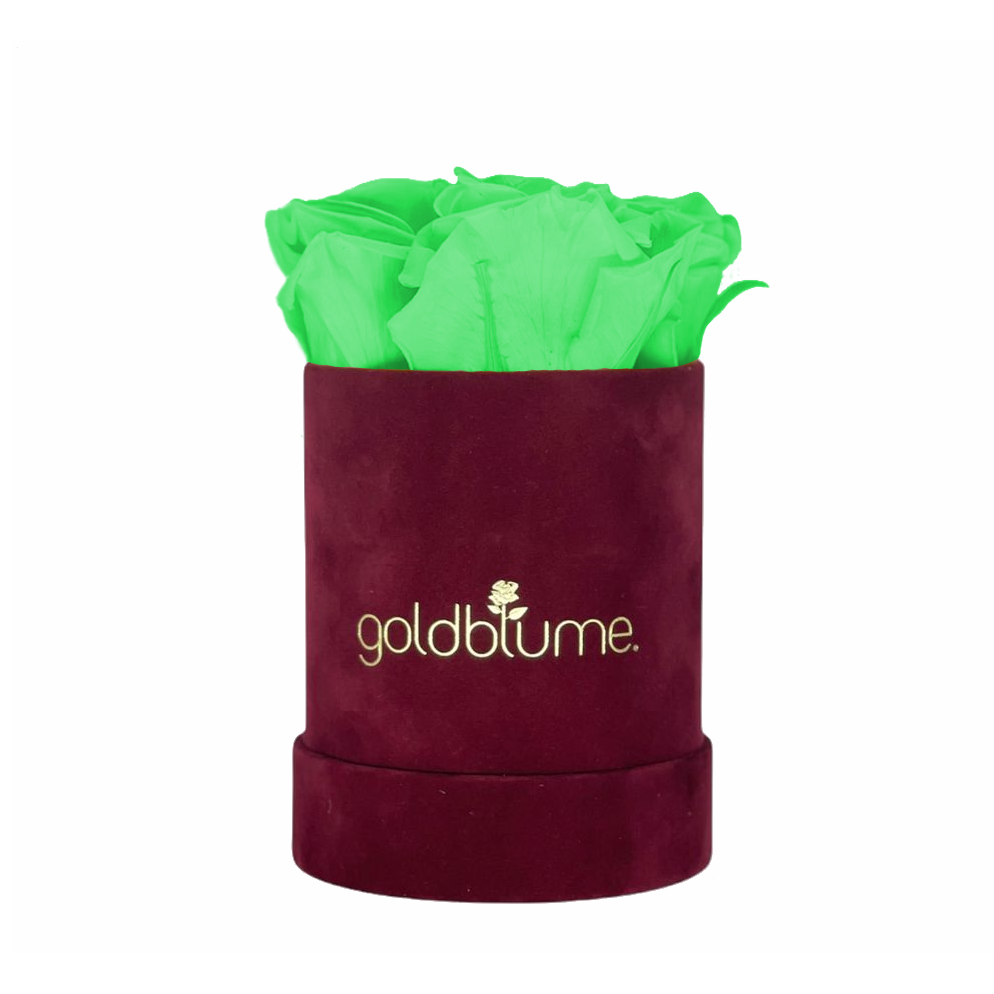 Collection Velours Bordeaux