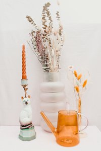 Dry bouquet - Eucaboy