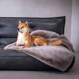 SOFT AFFAIR knuffeldeken voor honden