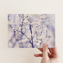 Postkarte med en sang i mit hjerte (PK_024)