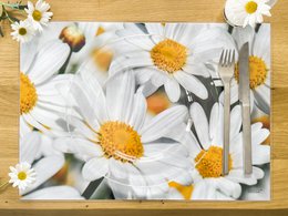 Artipics placemats White Daisies 4 pieces placemats washable made of plastic each 42 x 30 cm placemats spring fresh table decoration kitchen/dining area/guests