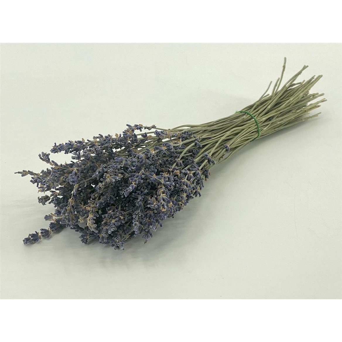 Lavanda secca - fiori secchi naturali