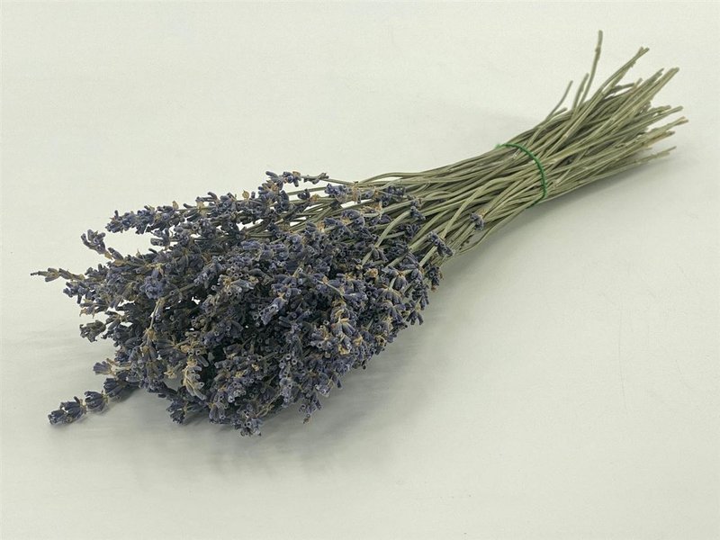 Lavanda secca - fiori secchi naturali
