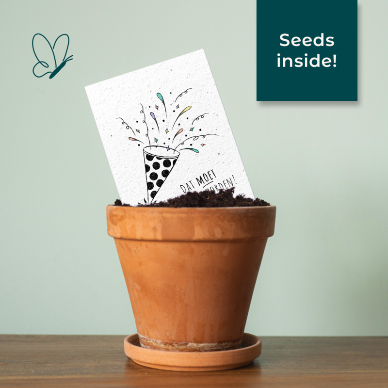 Seed paper greeting card - Party